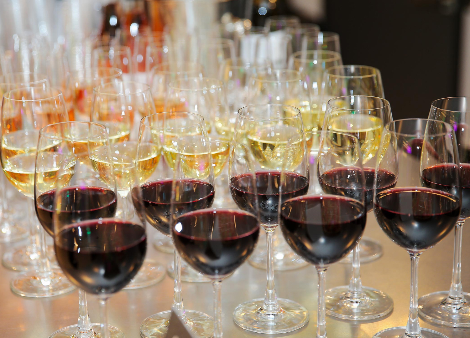 일산골프스튜디오 일산골프장 풍동골프 풍산골프 탄현골프 아하골프